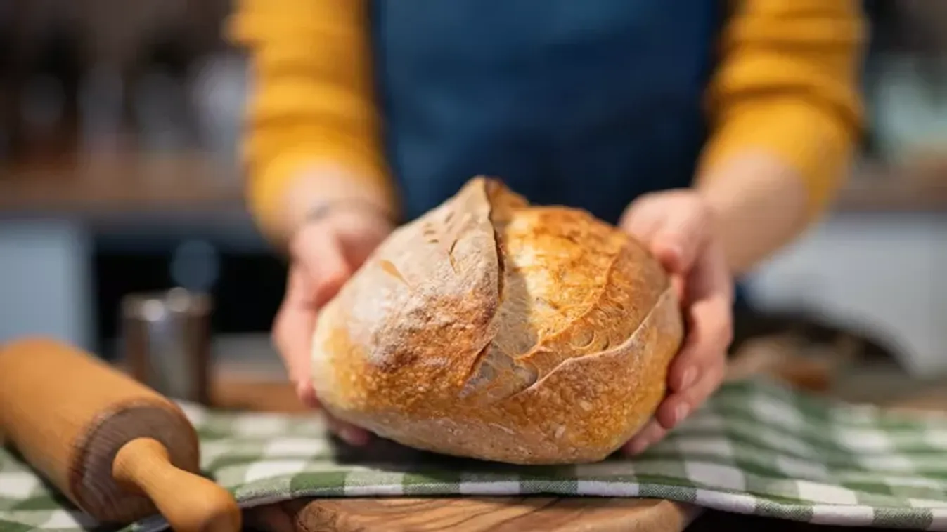 Így készül a tökéletes kovászos kenyér – A szakértők által legjobbnak értékelt hazai pékség árulta el a titkát