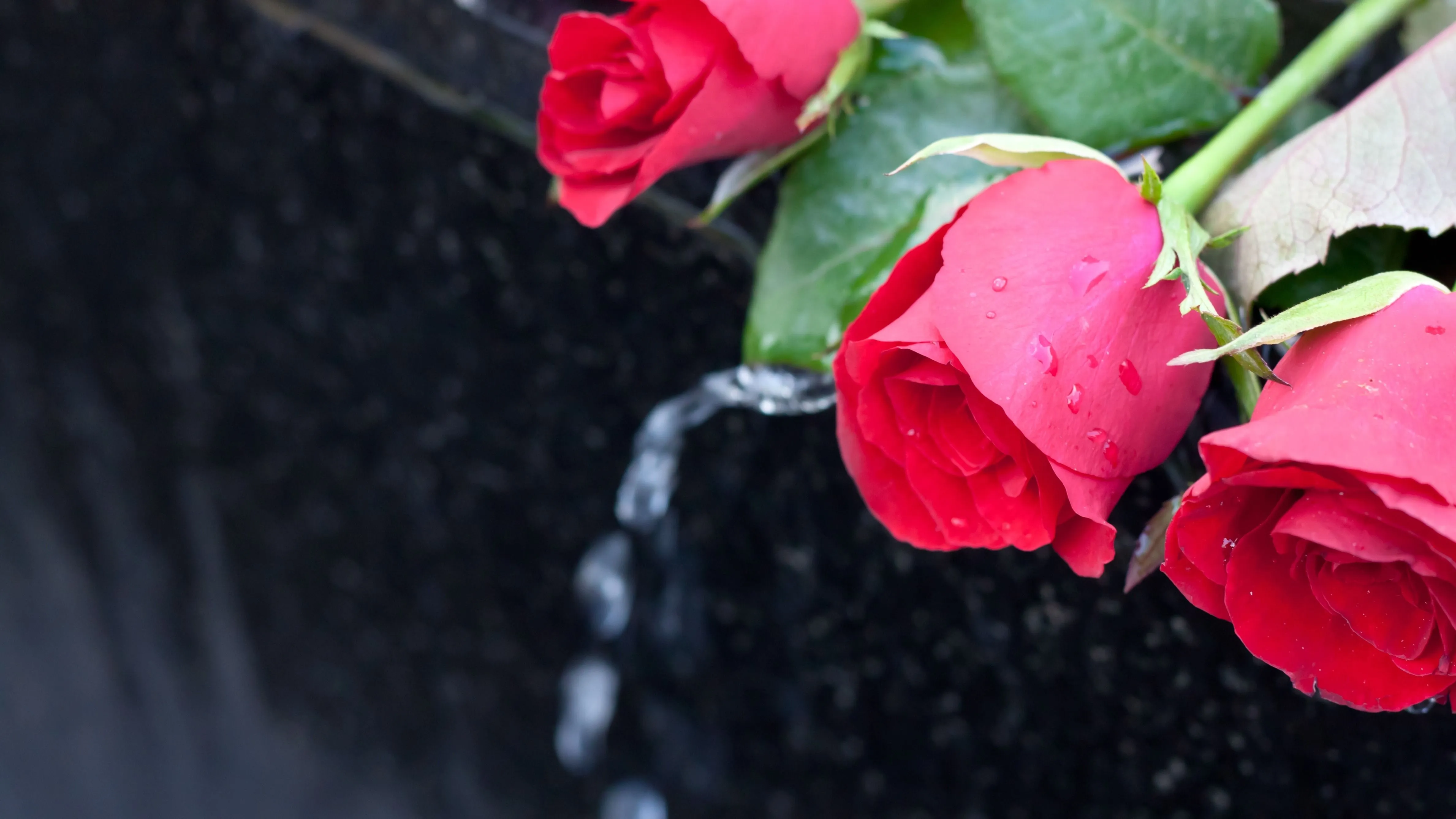 Kvíz kérdést ábrázoló kép