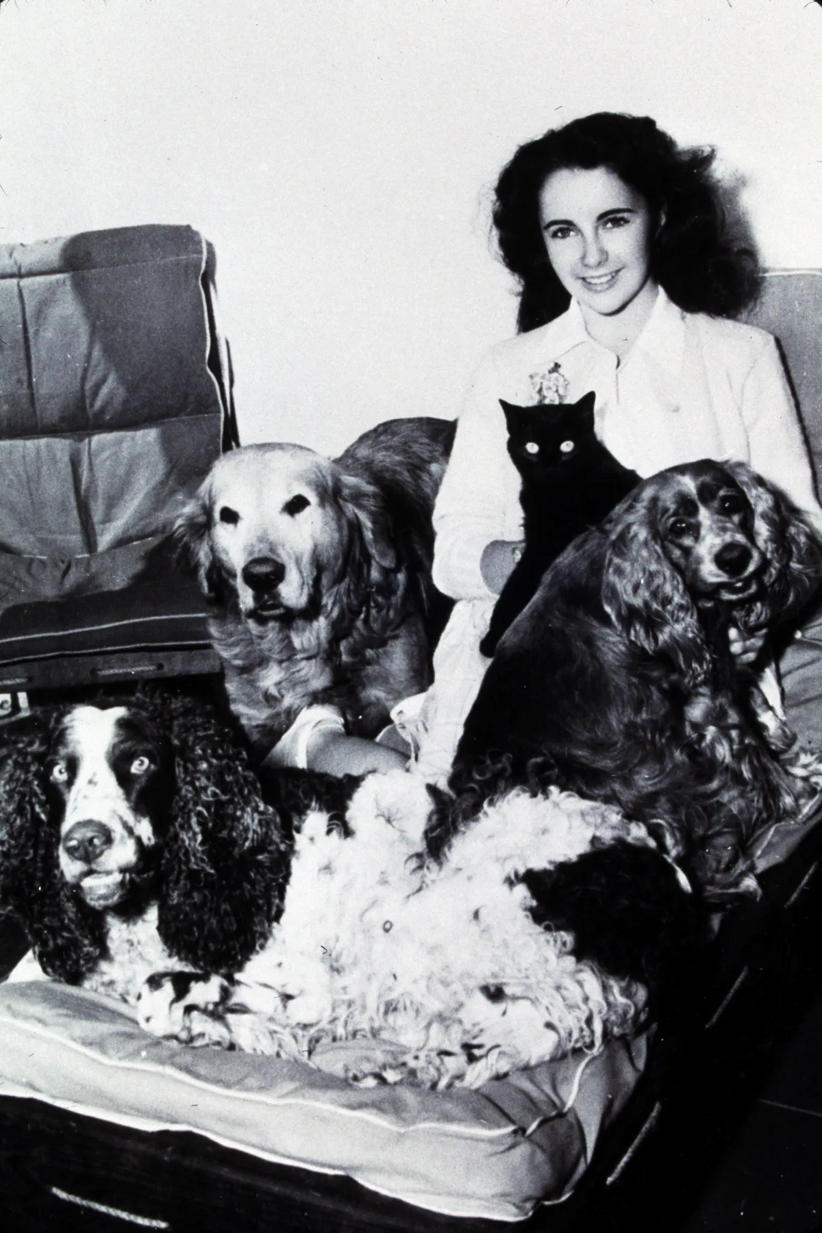 Elizabeth Taylor 13 évesen a kutyáival.