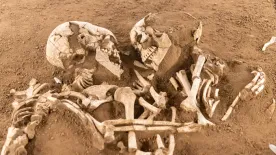 A halál sem választotta el őket – Ezek a csontvázak emlékeztetnek, hogy a szerelem örökké tart