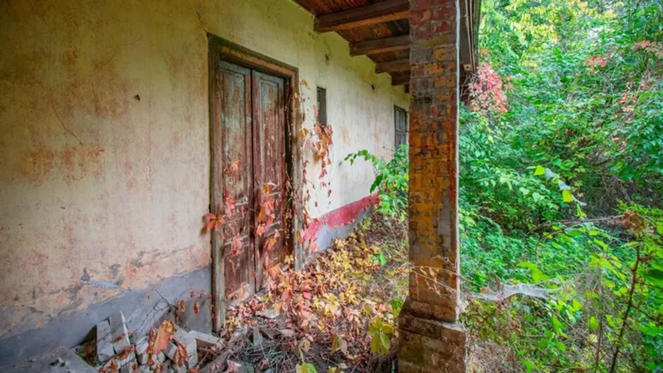 Rácsos kiságy, poros cumisüvegek és Singer varrógép a sarokban – mindent hátrahagyva tűnt el otthonából a méhész és családja