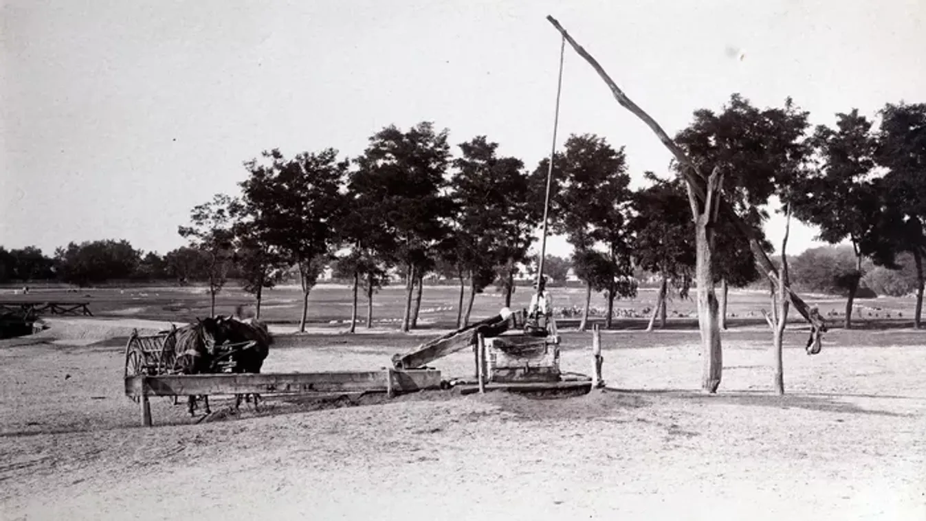 Kvíz: emlékszel ezekre a régi szavakra? Te is a legműveltebbek közé tartozol?