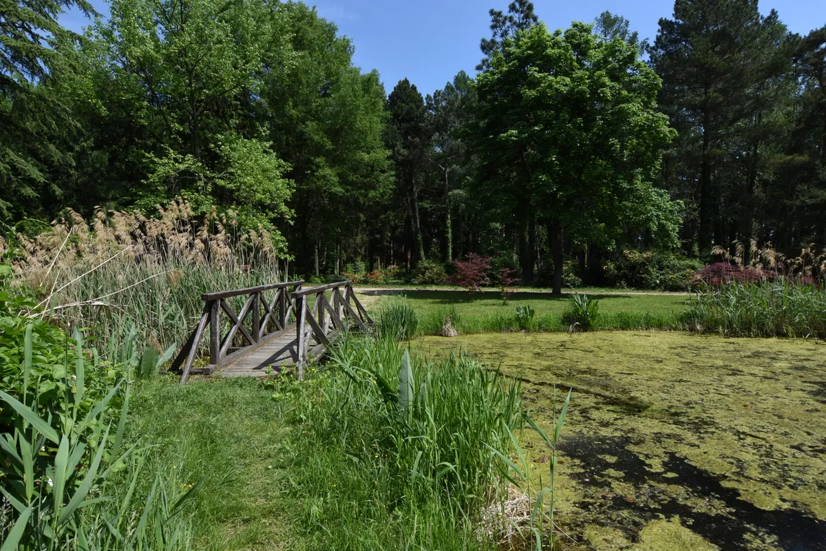 A kámoni arborétum dísztava, a háttérben fákkal és cserjékkel.