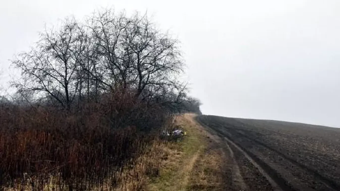 Több év fegyházbüntetés várhat a férfira, aki fojtogatott és bántalmazott egy kislányt Sárisápon