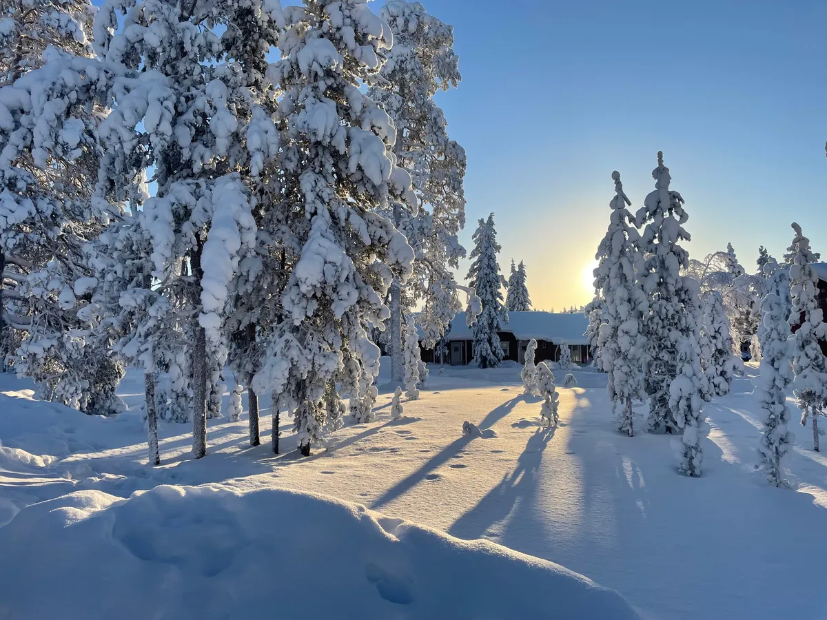 Lappföld februárban érintetlen arcát mutatja.