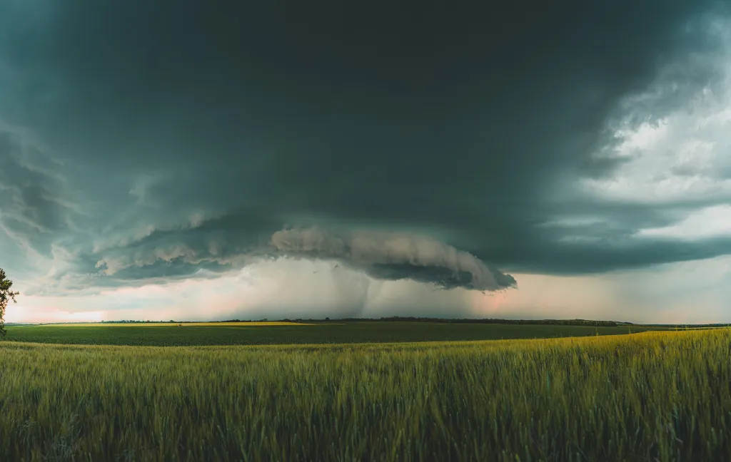 ILLUSZTRÁCIÓNAK NE HASZNÁLD!