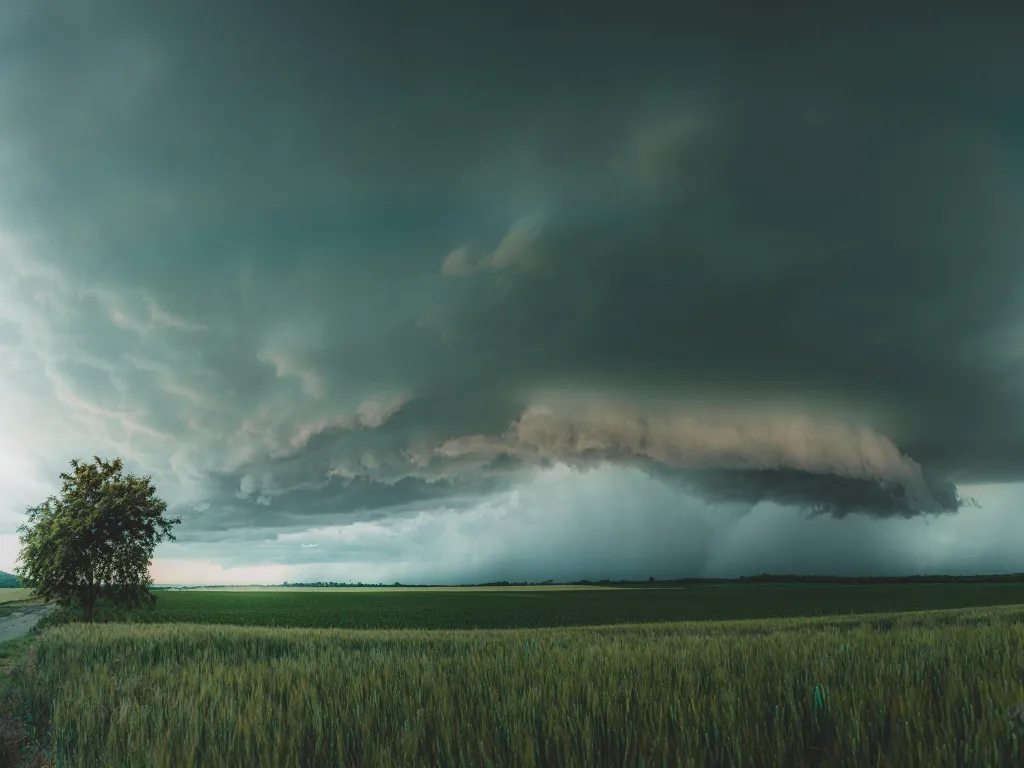 ILLUSZTRÁCIÓNAK NE HASZNÁLD!