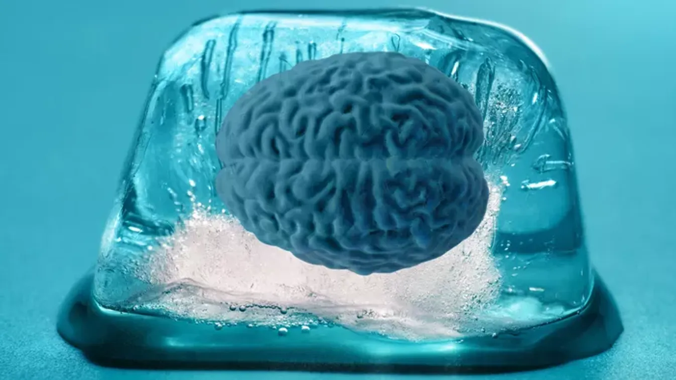 Örök életet adhatnak haldokló kislányuknak – lefagyasztották a gyermek agyát a szülők