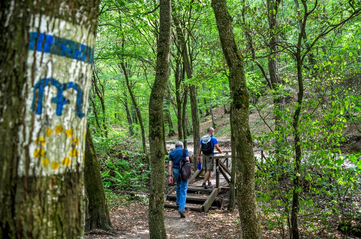 Kirándulók a Dera-szurdok túrán.