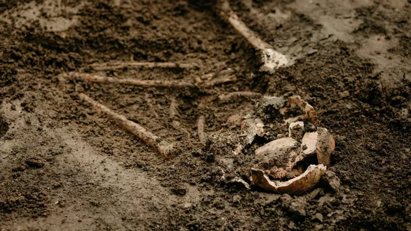 Hihetetlen felfedezést tettek a régészek: rejtélyes sárkány koponyára bukkantak a sivatagban