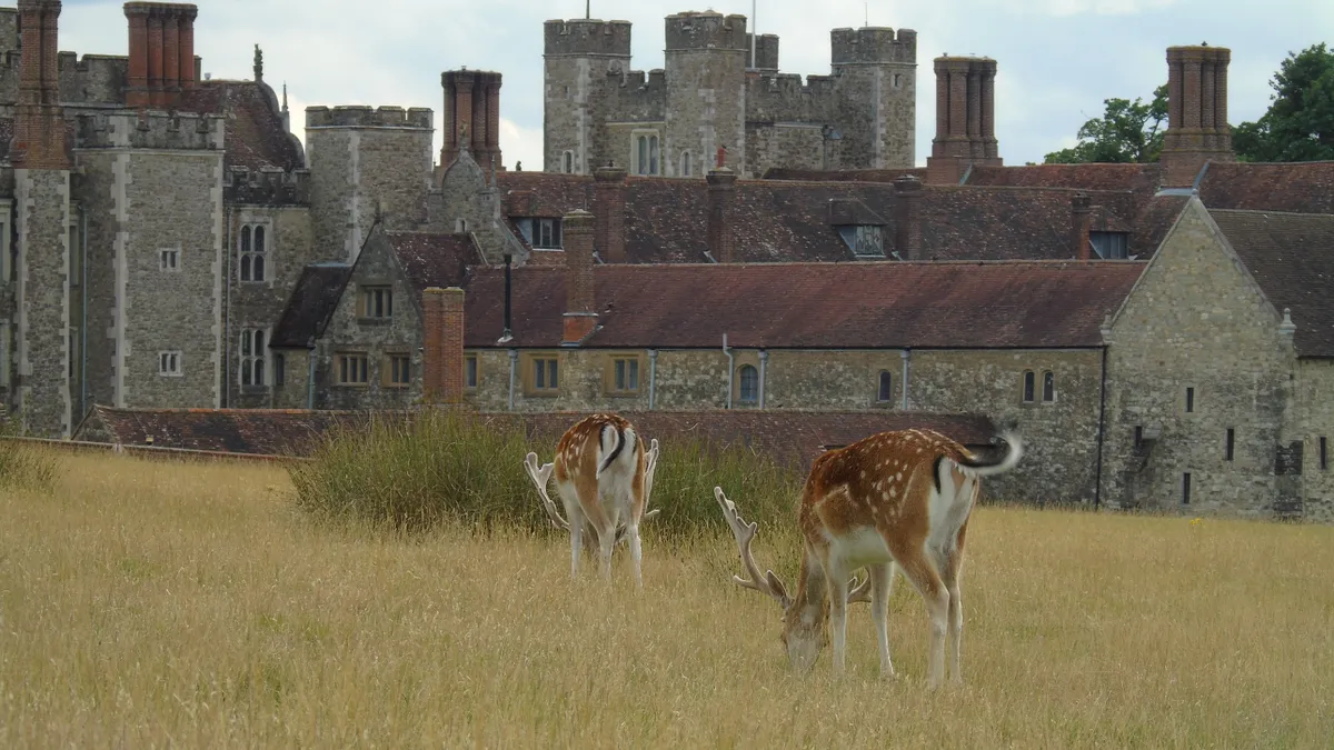 Az 500 éves Knole House kastélya, ahol az Üvöltő szelek című filmet forgatták, előtérben legelő őzekkel.