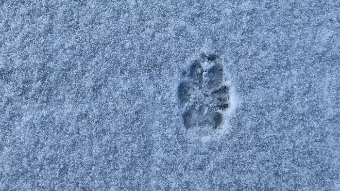 Megtudtuk, mikor érkezik a következő havazás