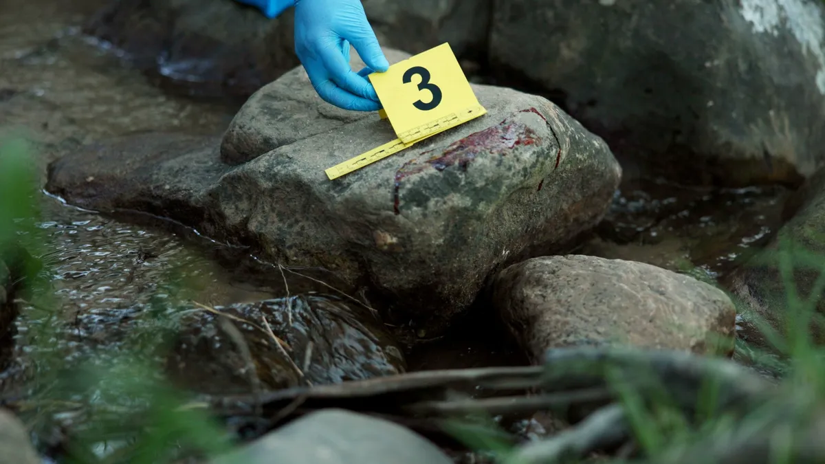 A focista próbált elmenekülni, de nem járt sikerrel