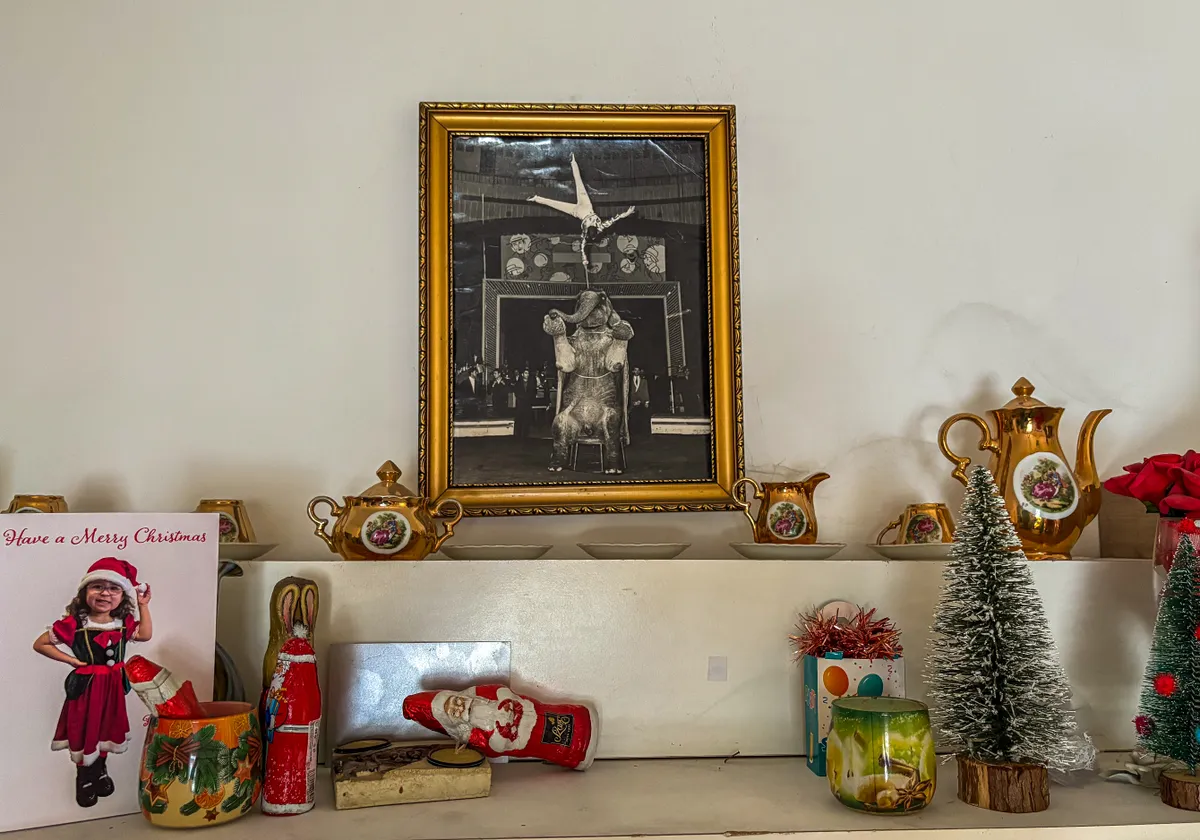 Stella néni ágya mellett a polcon ott van a kedvenc fotója a világhírű elefántos attrakciójukról