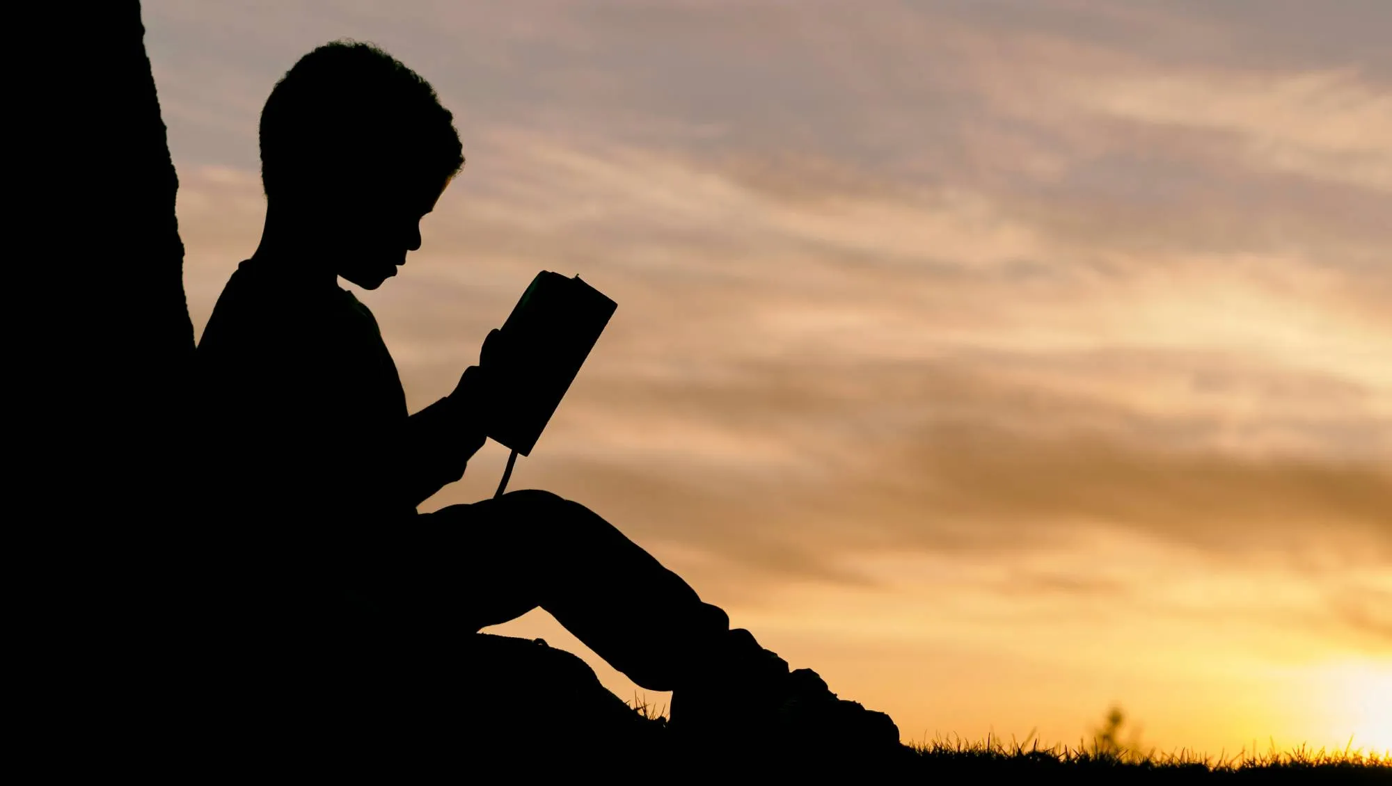 Kvíz kérdést ábrázoló kép