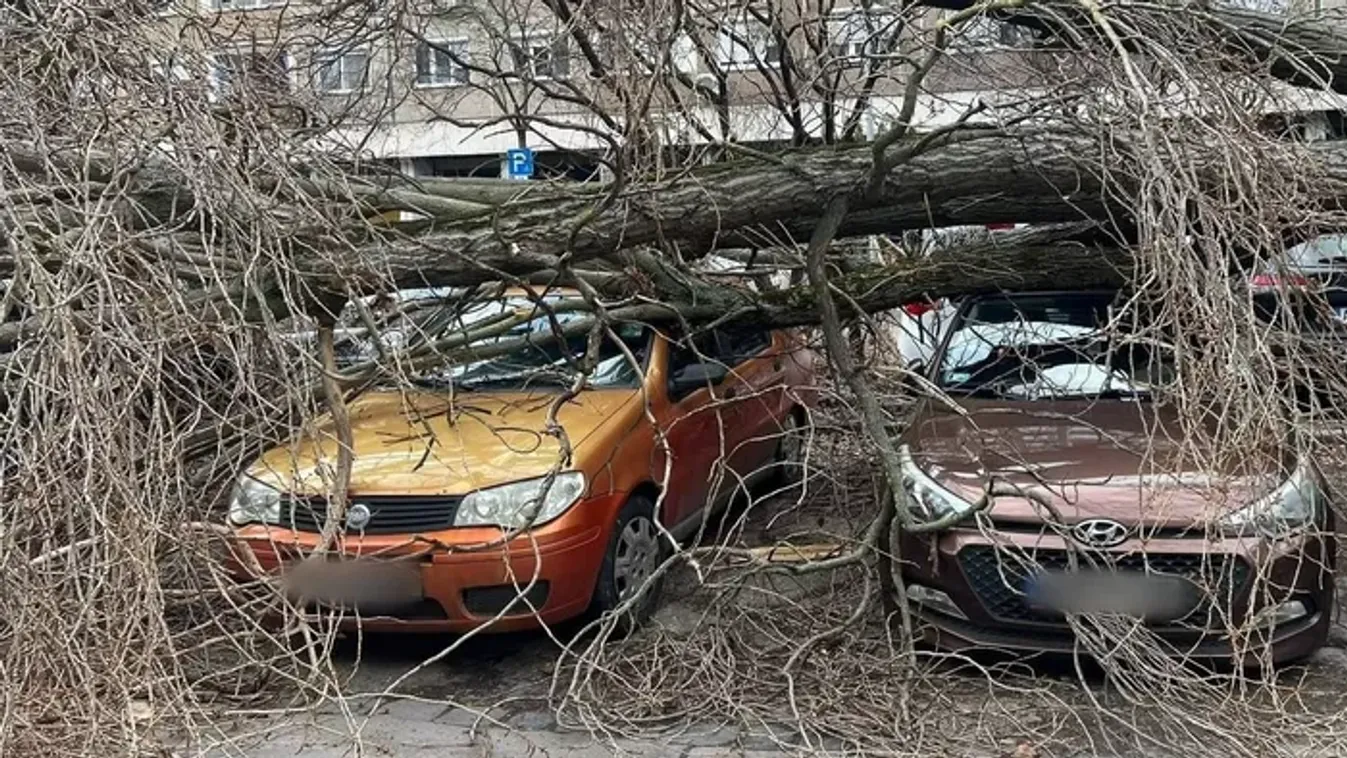 „Négy évem munkája ment a kukába” – zokogva nézte kettétört kocsiját Enikő