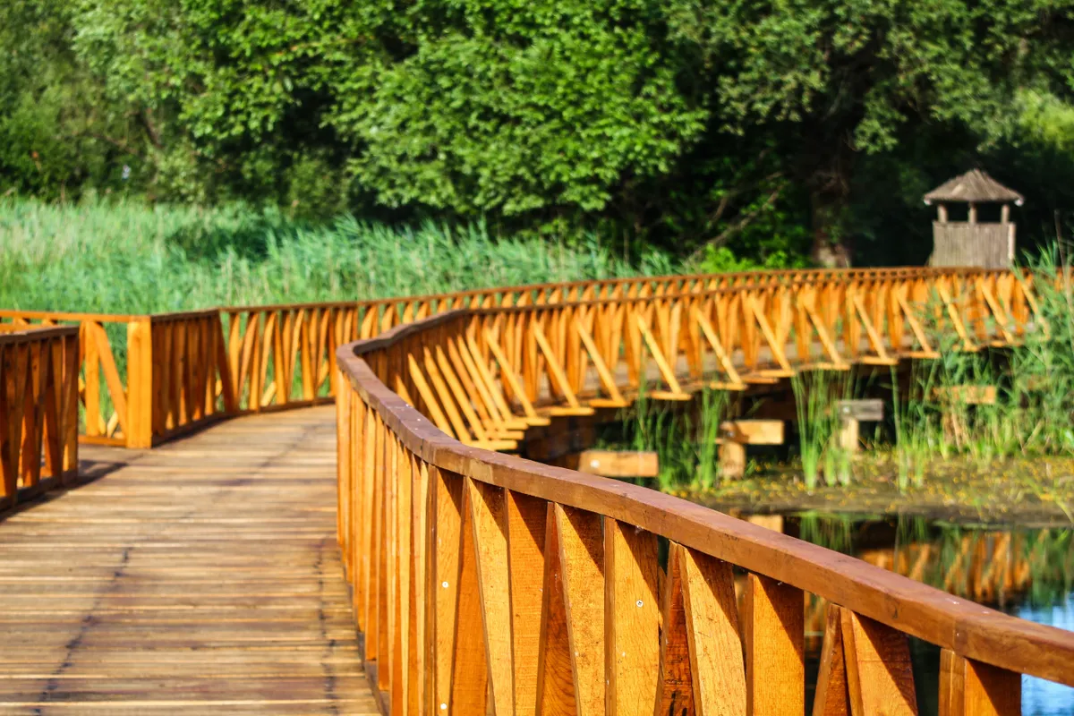 Fahíd az eszéki Kopácsi réten, amely egy vízfelület és nádas felett vezet. 