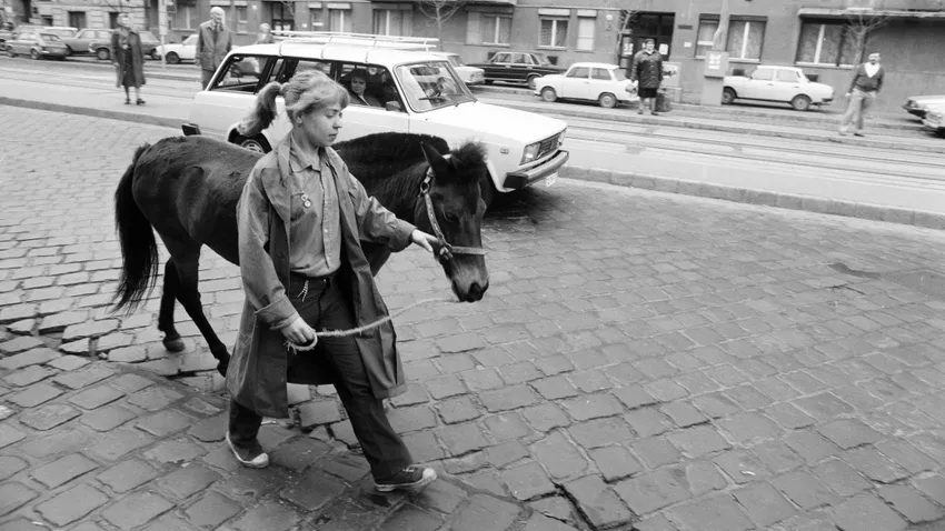 Kvíz kérdést ábrázoló kép