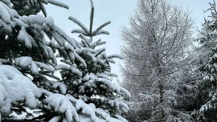 Fehérbe öltözött a csodálatos Bakony - Fotók!