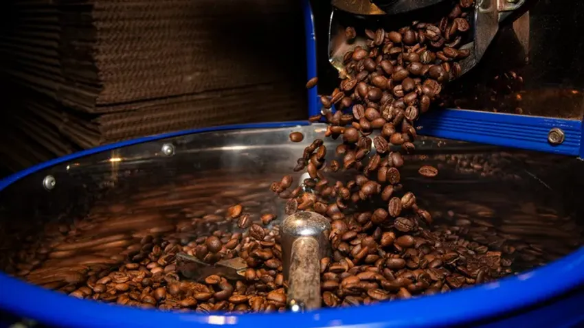 A kávéd útja az ültetvényről a csészédig