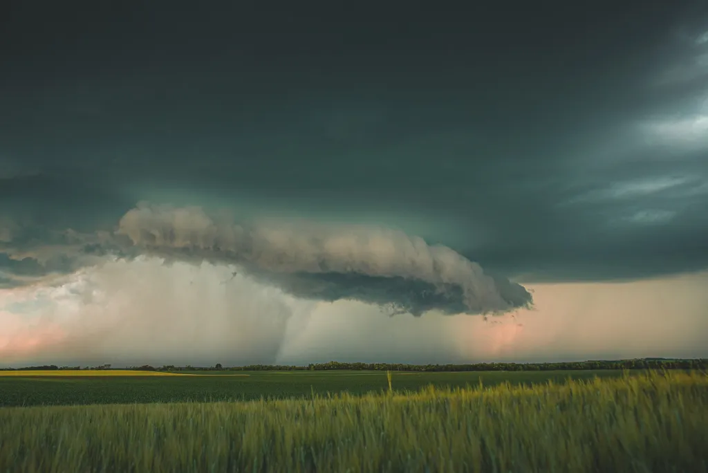 ILLUSZTRÁCIÓNAK NE HASZNÁLD!