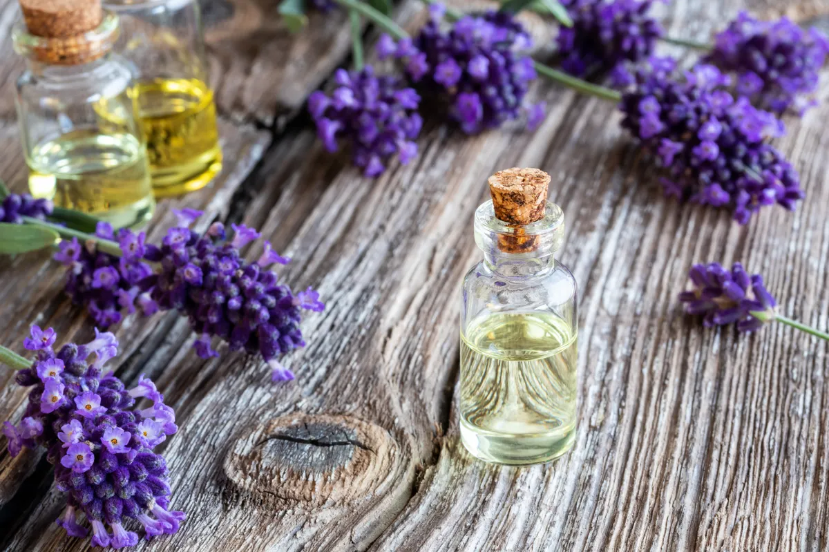 Gyógynövényekből készült illóolaj fiolában, virágok között egy asztalon