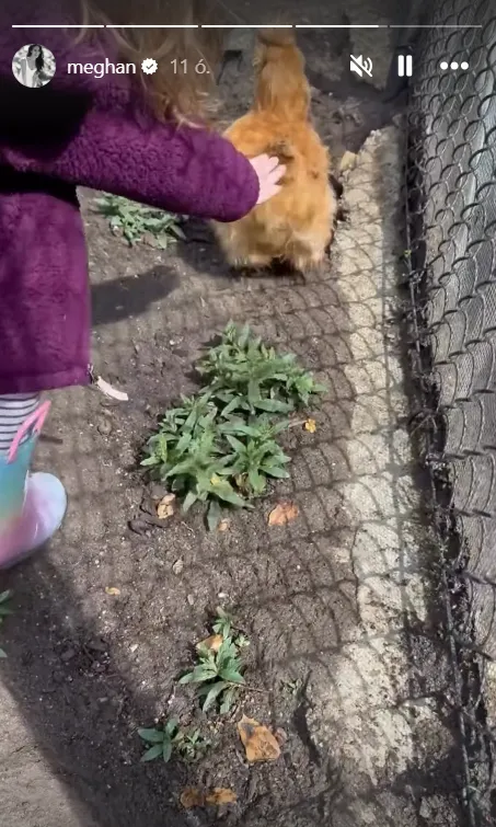 Meghan Markle és Lilibet