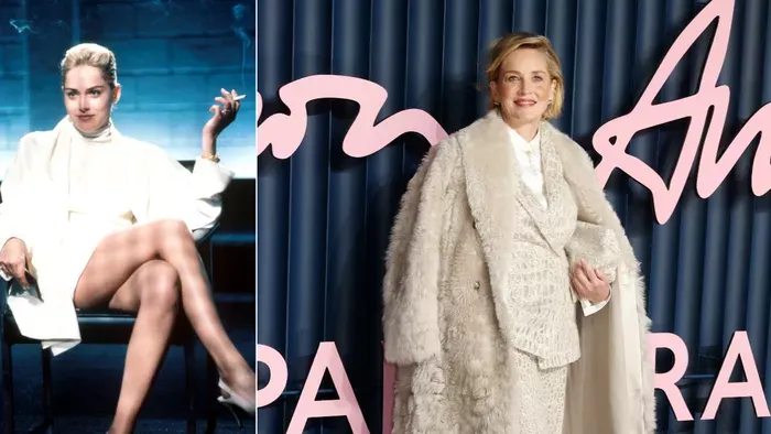 Sharon Stone 68 évesen ragyog: ezek a legfontosabb filmjei