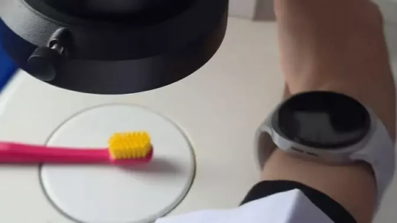 Ez garantáltan nem fog tetszeni! Mutatjuk, mi rejtőzik a fogkeféd sörtéi közt!