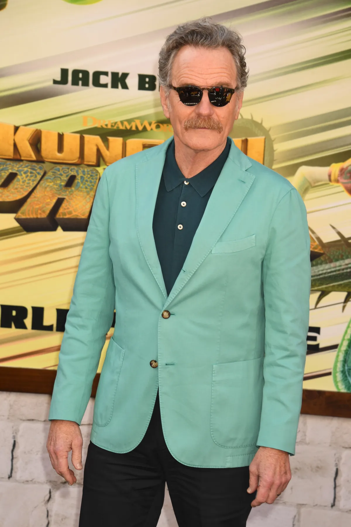 Kung Fu Panda 4 World Premiere