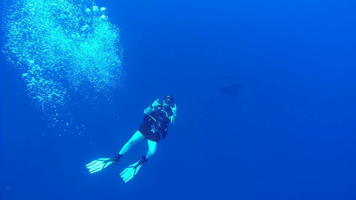 Zsombor Attila egy mantával a háttérben merülés közben.