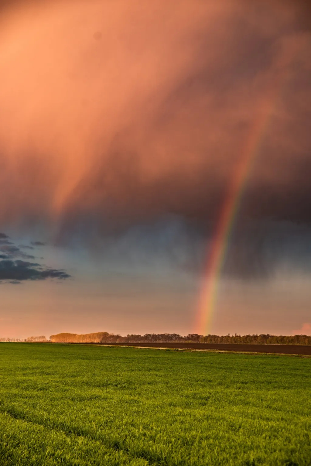 ILLUSZTRÁCIÓNAK NE HASZNÁLD!