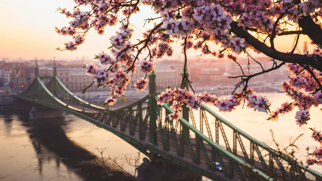 Ezek Budapest legkülönlegesebb tavaszi látnivalói.