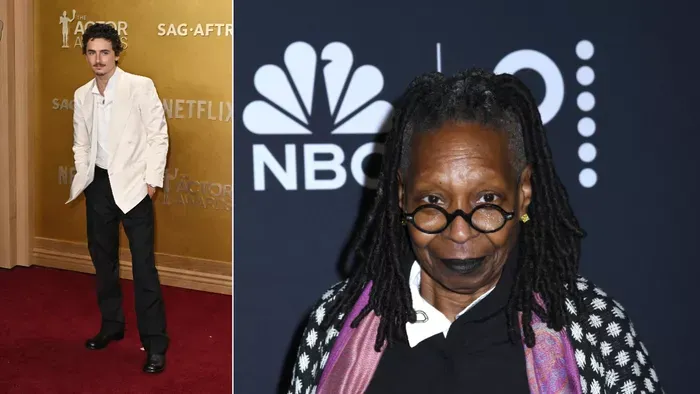 Balhé van! Whoopi Goldberg szétkapta Timothée Chalamet-t