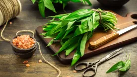 Végzetes lehet a tévedés: így különböztesd meg a medvehagymát a gyöngyvirágtól