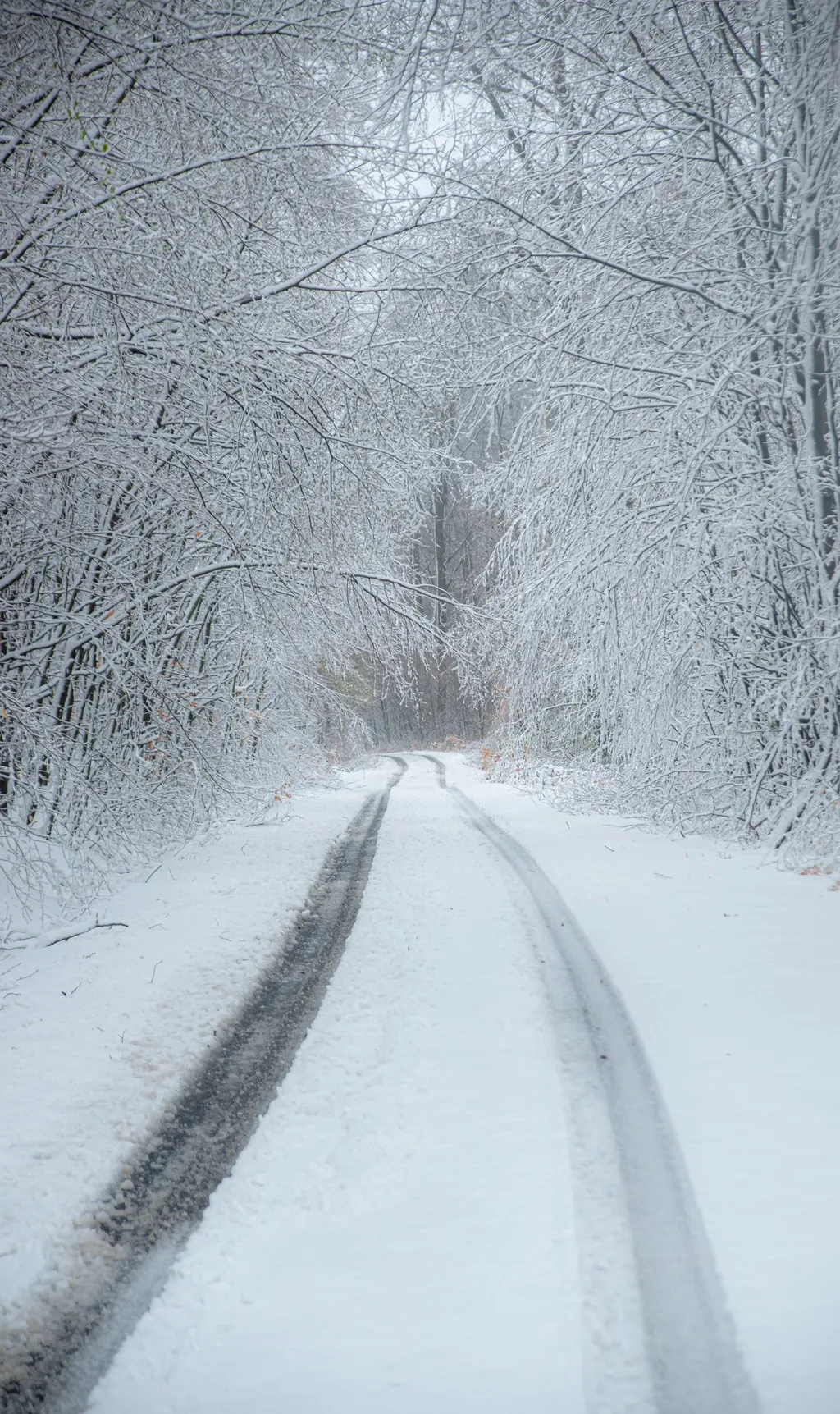 ILLUSZTRÁCIÓNAK NE HASZNÁLD!