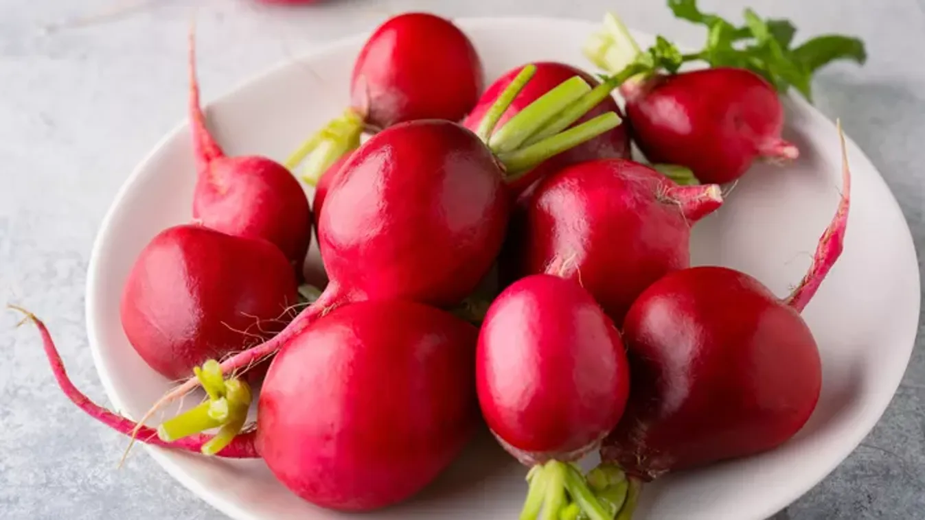 Szuperélelmiszer a javából: ezek a retek jótékony hatásai