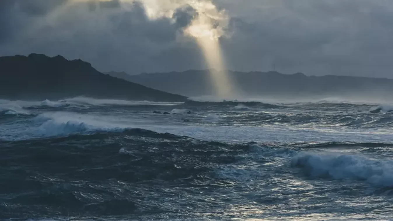 Itt a világvége? Baljós halakat sodort partra a víz