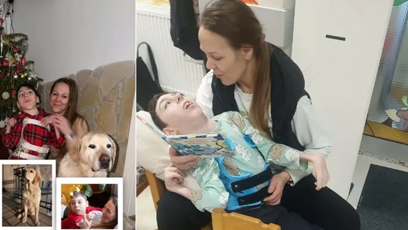 „Hálásan köszönök minden támogatást, biztatást és segítséget” – Oxigénhiányos Levi és anyukája egyelőre megmenekültek, nem kerültek utcára