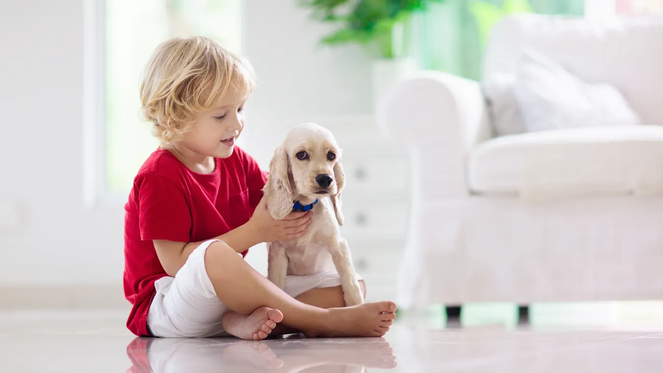 5 dolog, amit egy állat megtanít a gyereknek