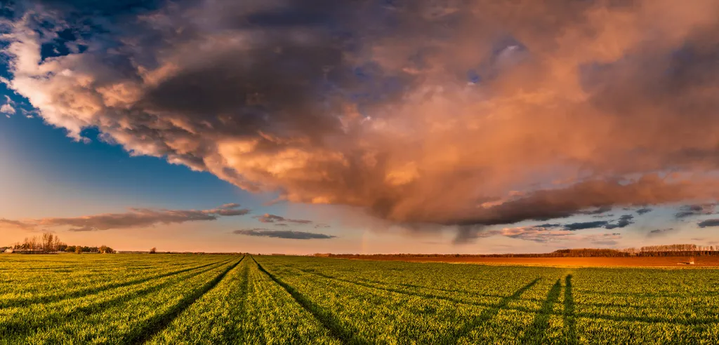 ILLUSZTRÁCIÓNAK NE HASZNÁLD!