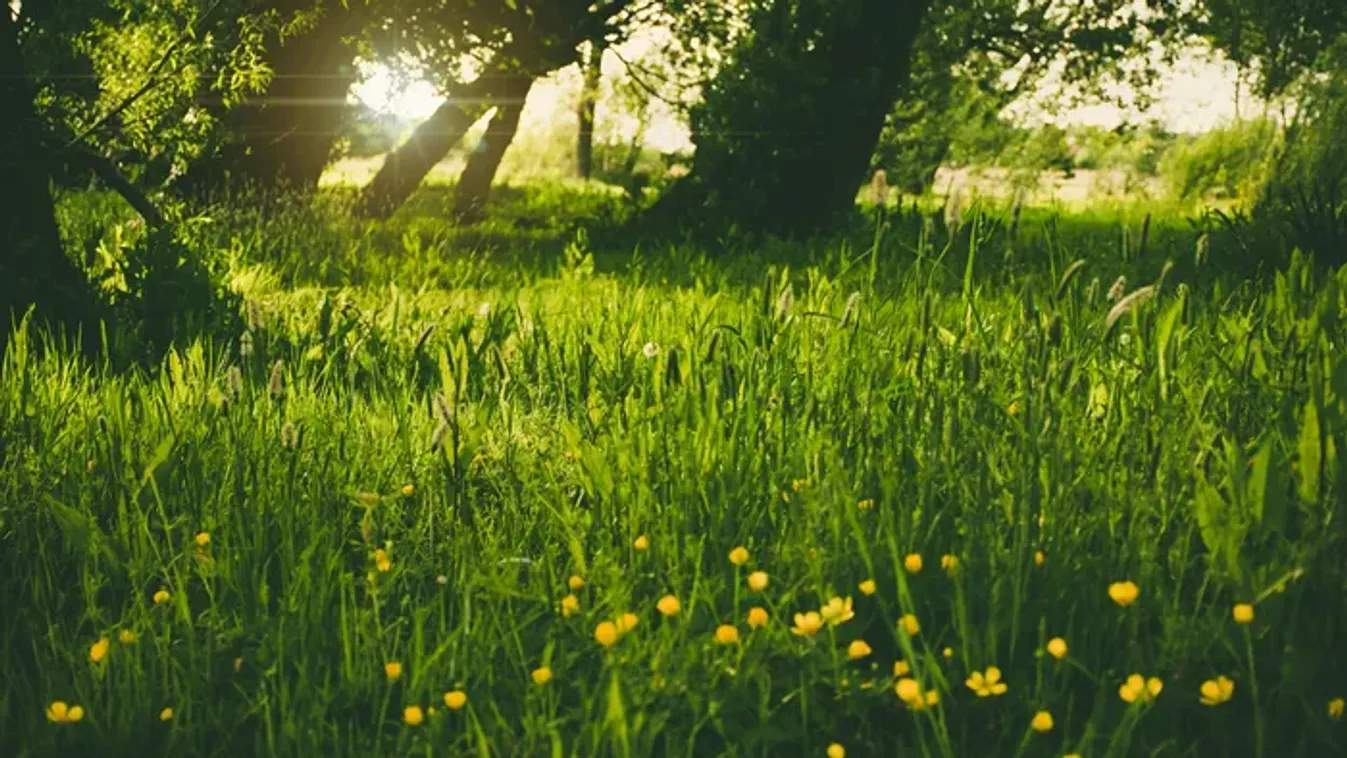 Nincs mese! Igaz tavaszi időjárással tör be a március