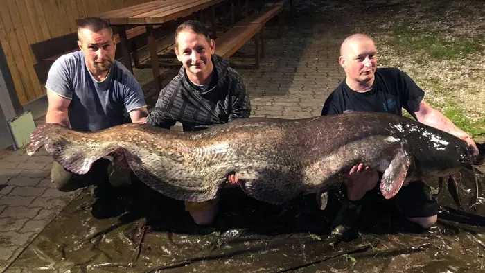 Növekszik az e-napló népszerűsége a horgászok körében