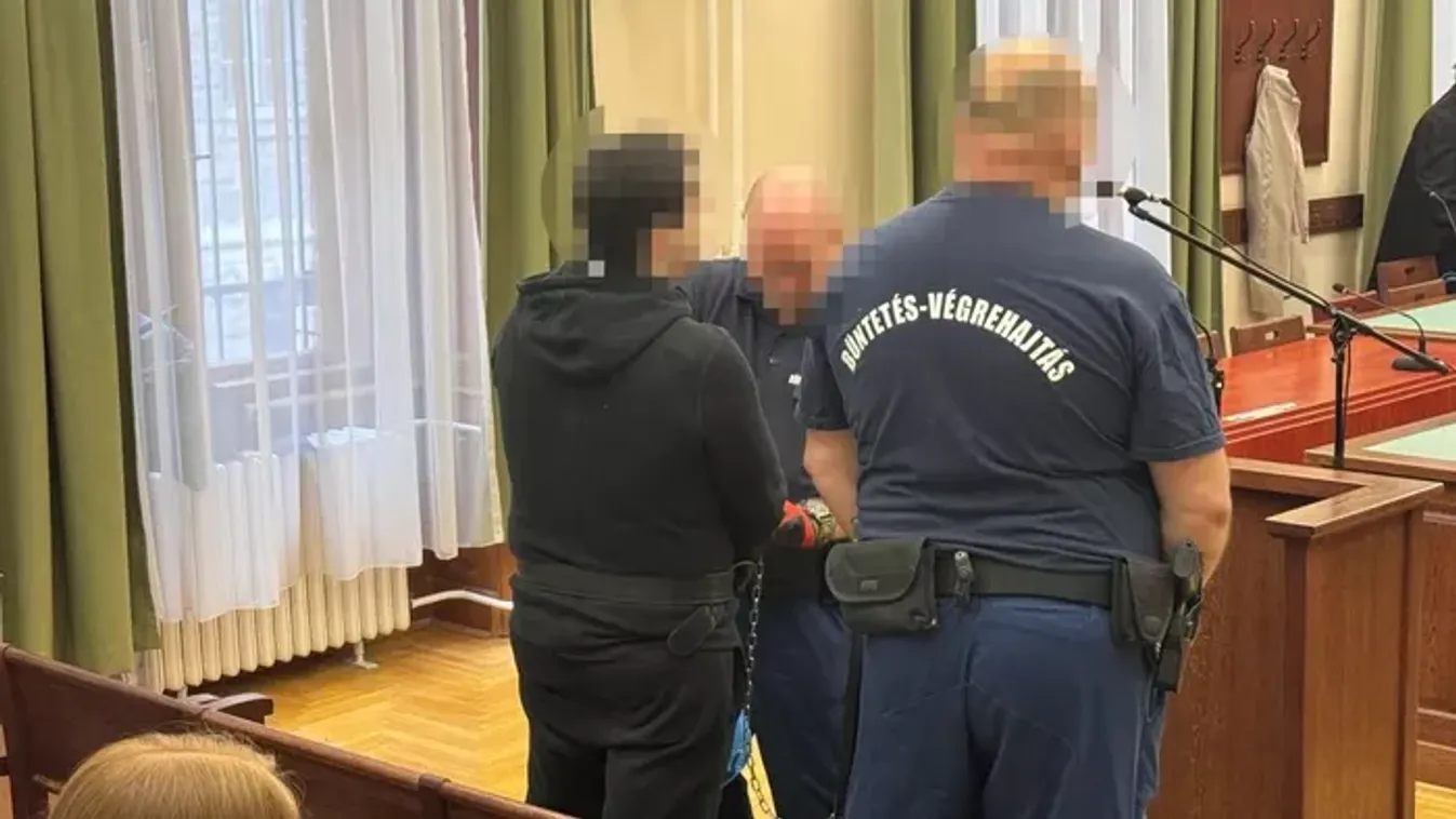 Döbbenetes fejlemény: ezért nem kapta meg a gyógyszereit a mátyásföldi anyagyilkos