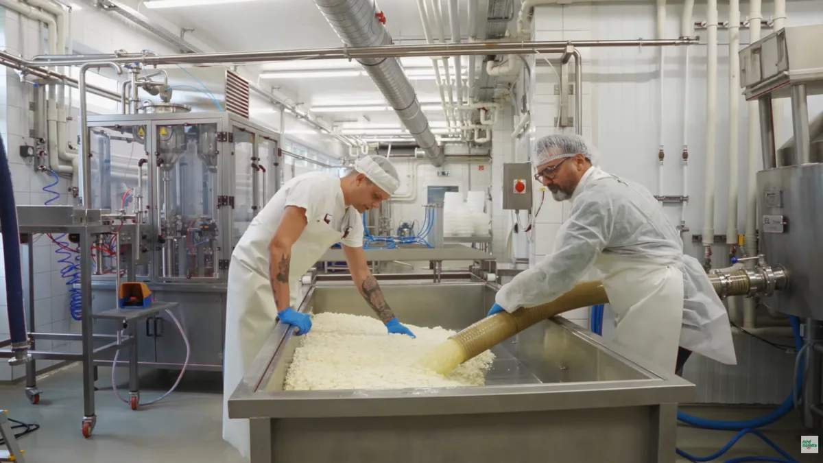 Gianni dolgozik a sajtüzemben, ahol a Pilis kézműves sajt készül