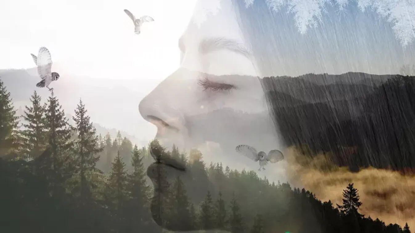 Mi a te spirituális totemállatod? Ez a személyiségteszt felfedi egyéniséged kivételes jellemzőit