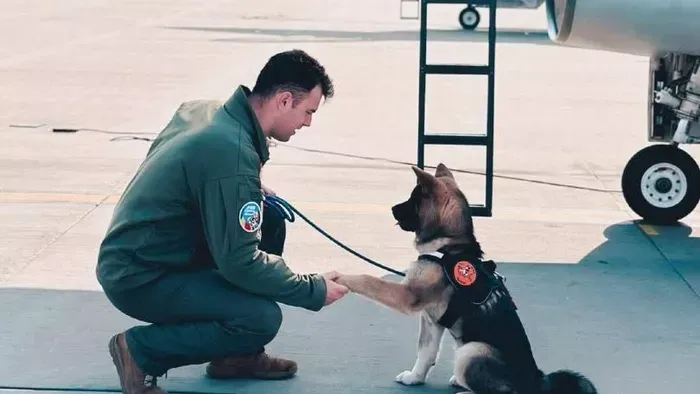 Feláldozta magát, hogy életet mentsen a vadászpilóta