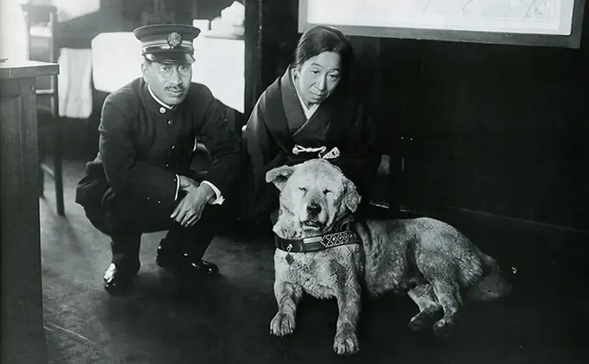 A híségéről elhíresült Hachiko akita a tokiói Shibuya állomáson.