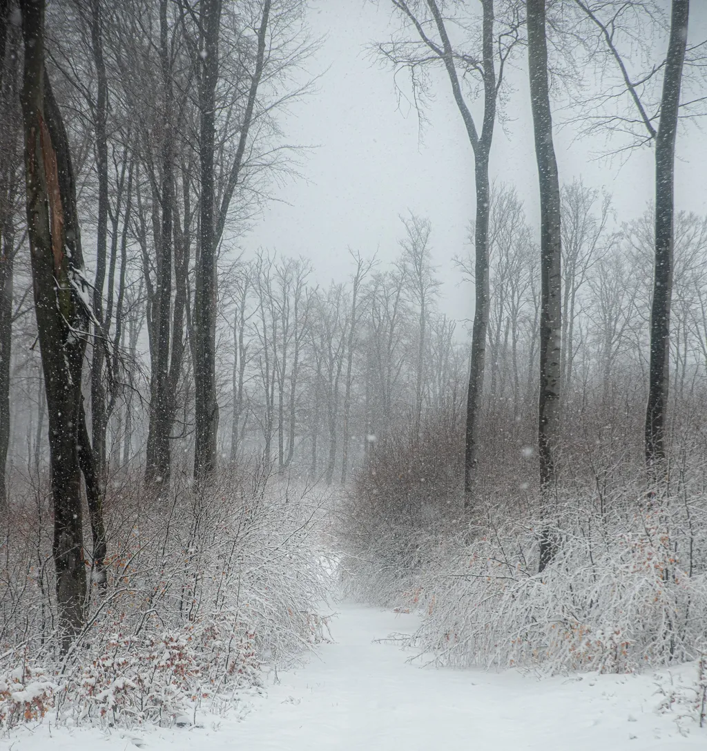 ILLUSZTRÁCIÓNAK NE HASZNÁLD!