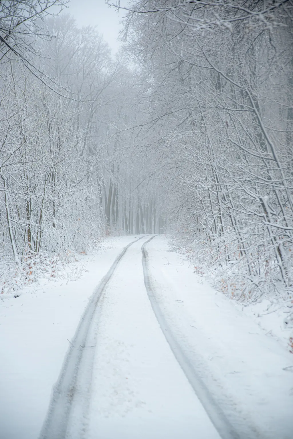 ILLUSZTRÁCIÓNAK NE HASZNÁLD!